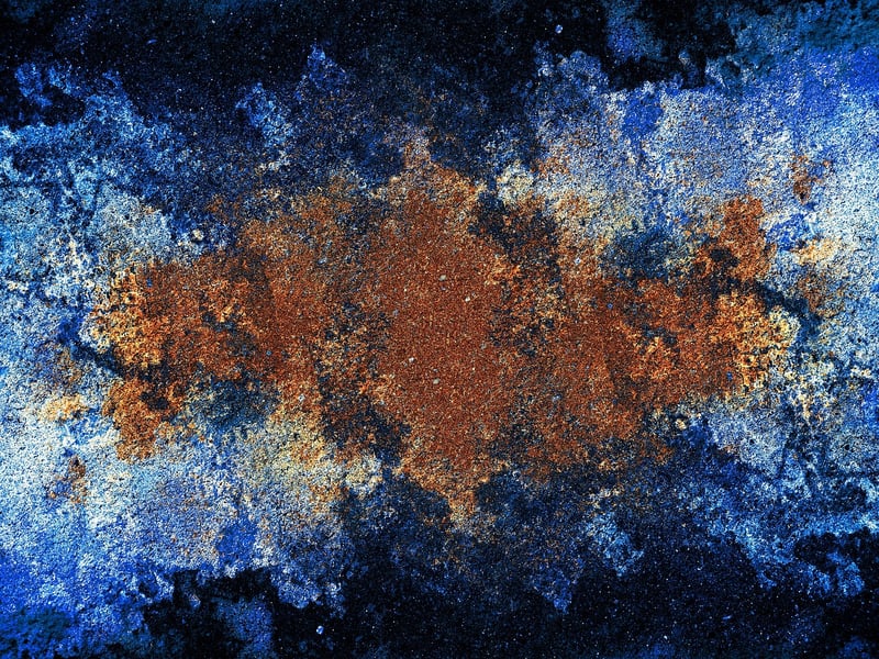 Forest Wall Art